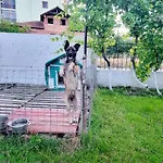 Penzion Islami 3*