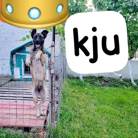 בית הארחה Islami 3*