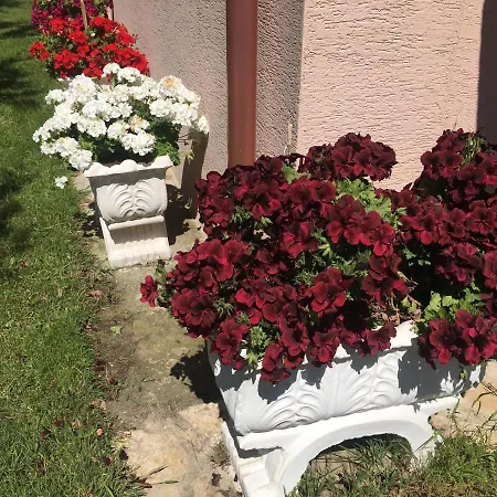 Islami בית הארחה