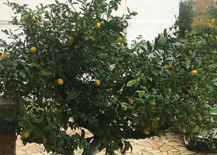 Pensjonat Islami Durrës