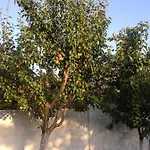 Islami Gasthof