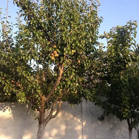 Islami Πανσιόν