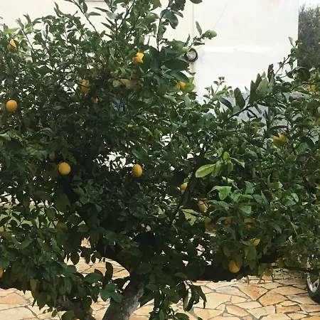 게스트하우스 Islami Durrës